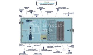 Гринлос Норд 75 - фото 4